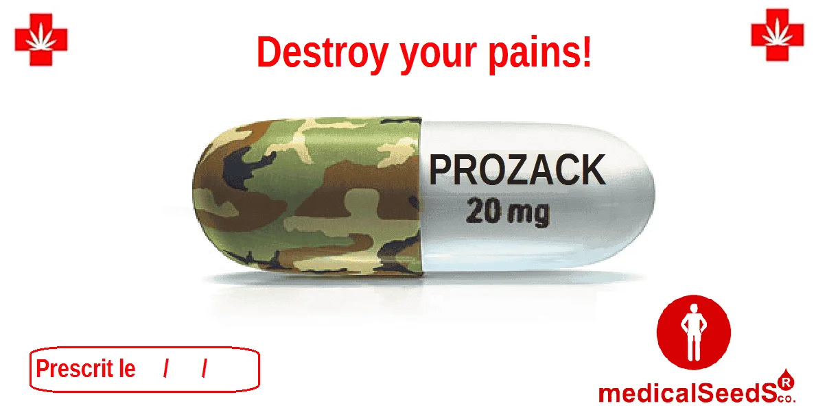 prosack.png.ae3c9dfcbf636f39f51f63e3f34b17fb.webp