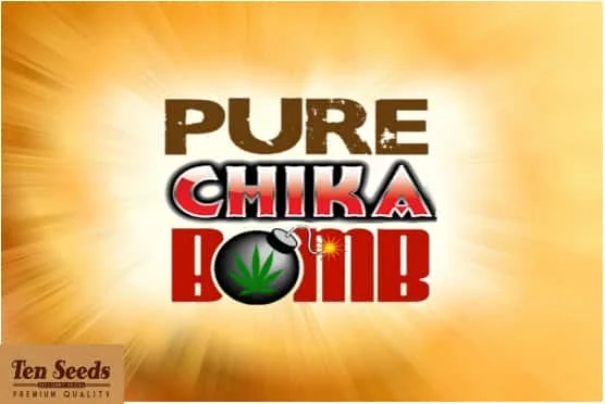 PureChikaBomb.jpg.b324457cc1afe7587a87e86830f0a75f.webp