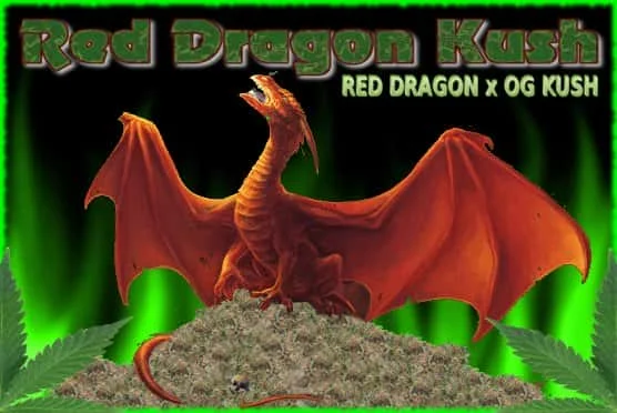 REDDRAGONKUSH.jpg.ee6a86e826f77e5c8b73faa6683cb994.webp