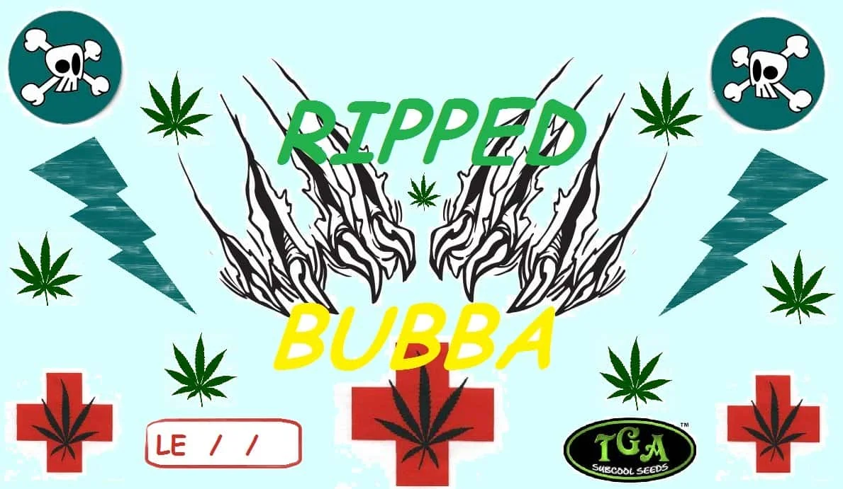 RIPPEDBUBBA.jpg.3a96498c132a3bfc9fbae64b7442e3aa.webp