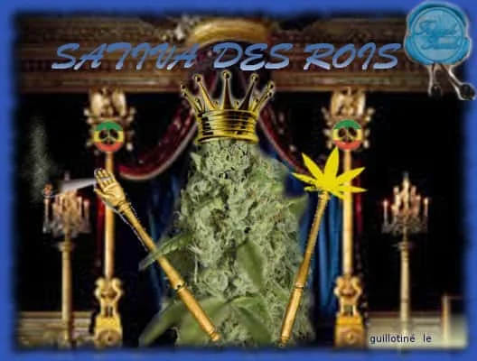 Sativadesrois.jpg.0204906fac6386527d2d8e734c67ad5e.webp