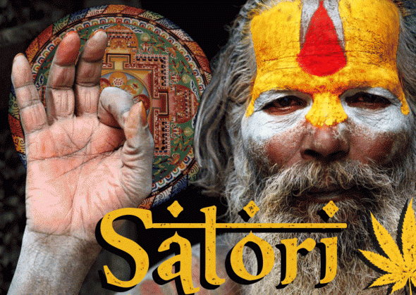 satori.GIF.08315e1c6343cc0fe235a66d47fdb82d.GIF