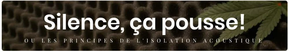silence ca.webp