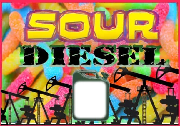 SourDiesel.jpg.6cc46d5aaec3e1cfd593f5fd83c5b66a.webp