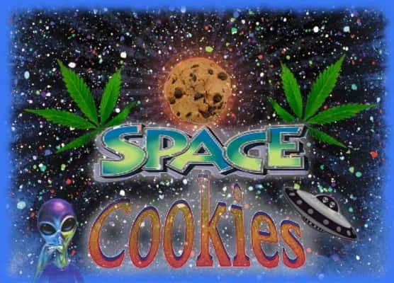 SpaceCookies.jpg.2724518b5ae4a65f1c9e4034401e228b.webp