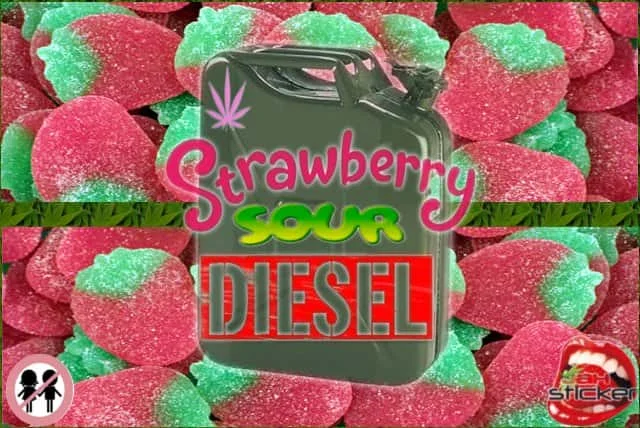 StrawberrySourDiesel.jpg.e41a7a069af5ec08abd921502992b8f3.webp