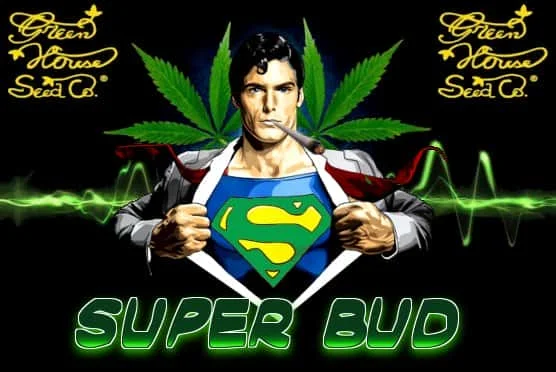 SUPERBUD.jpg.8e99add0fa8346fe8247e245f355cd73.webp