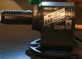 téléchargement (1).webp