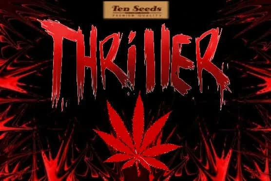 Thriller.jpg.316a70252473b67e2053c573ca812f50.webp
