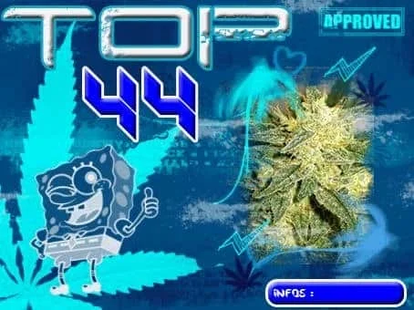 top44.JPG.93583601fad9fb2ebca3a492f7dcad69.webp