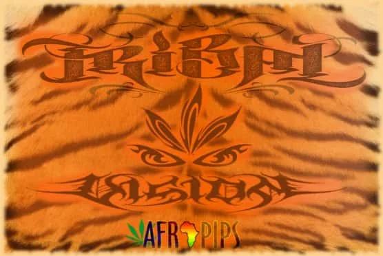 TribalVision.jpg.da7a4b539b59b0c3053c1f3815033582.webp