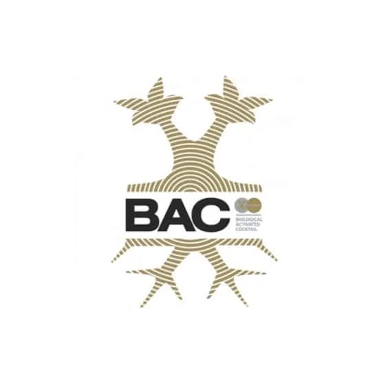BAC_Logo.jpg.14d929e37d09a55c30a84a6822539955.webp