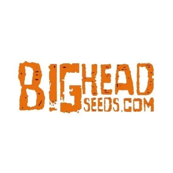 BigHeadSeeds.jpg.e5fba282da7b6e34491cfbb345093d9a.webp