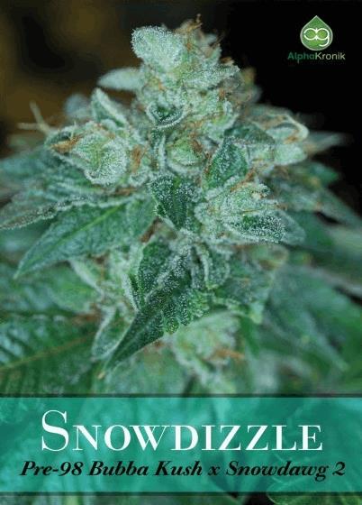 Snowdizzle