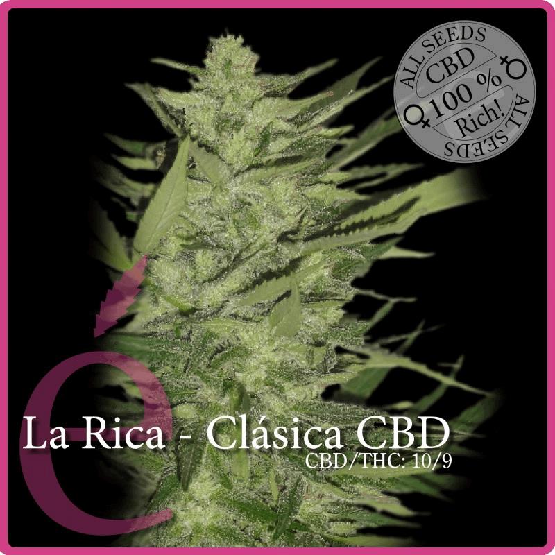 La Rica - Classique CBD