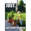wateringweeds