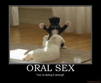 oral-sex-cat-sex-wrong-demotivational-poster-1264693172.jpg