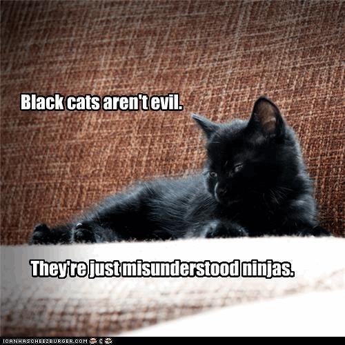 black-cats-arent-evil.jpg