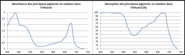 Absorption vs absorbance forum.png