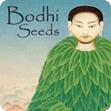 bodhi seeds.png