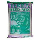 canna_terra_seed_1401.jpg