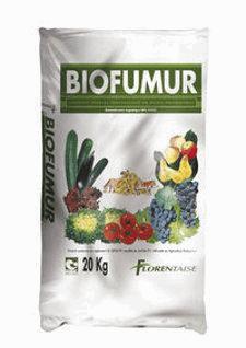 FLORENTAISE - BIOFUMUR.jpg