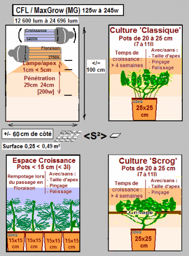 schmaplantationmgenviroft8.png