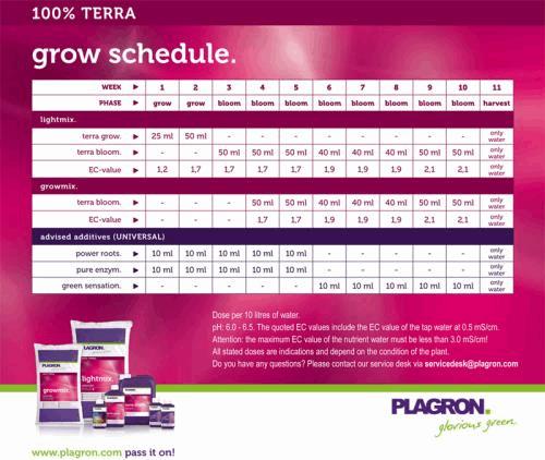 schedule-plagron-TERRA.jpg