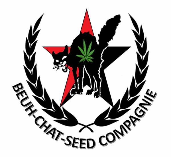 logo beuh-chat-seed compagnie.png