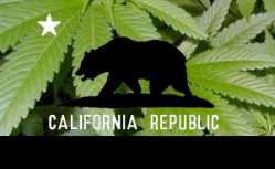 Le cannabis en Californie : une divergence locale et fédérale