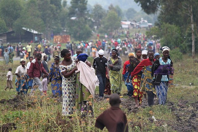 Le cannabis en République démocratique du Congo