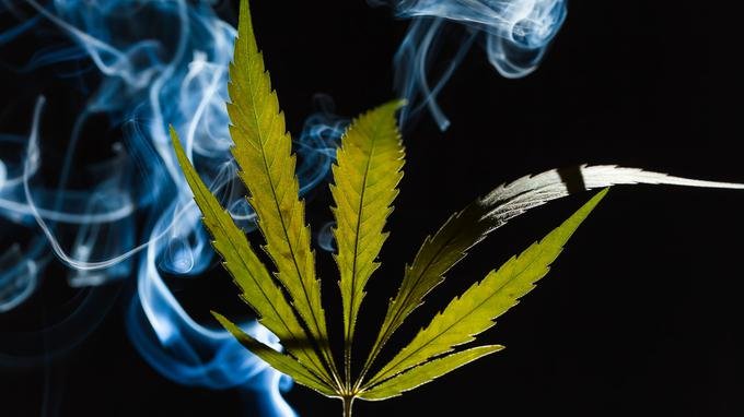 Cannabis: hors la répression, quelles autres solutions?