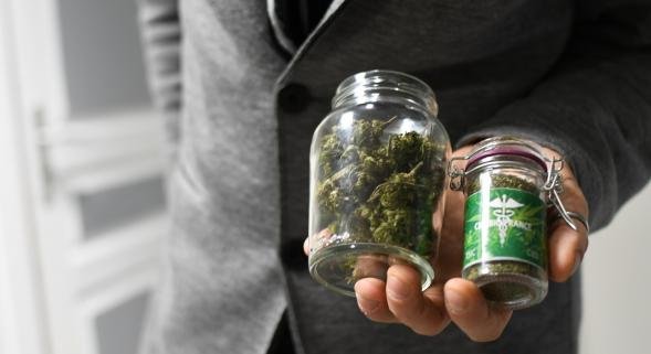 Annecy: sorte de «cannabis légal», le CBD débarque en ville