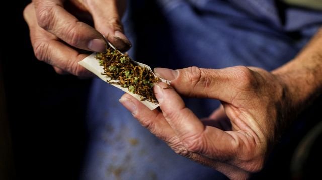 Cannabis: pourquoi fume-t-on autant en France?