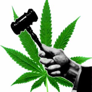 Cannabis et presse: Au pire, qu'est ce qu'on risque