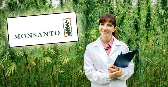 Prise de contrôle du cannabis par Bayer et Monsanto? Voici ce que vous devez savoir …