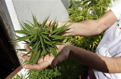 Elle cultivait du cannabis dans son jardin