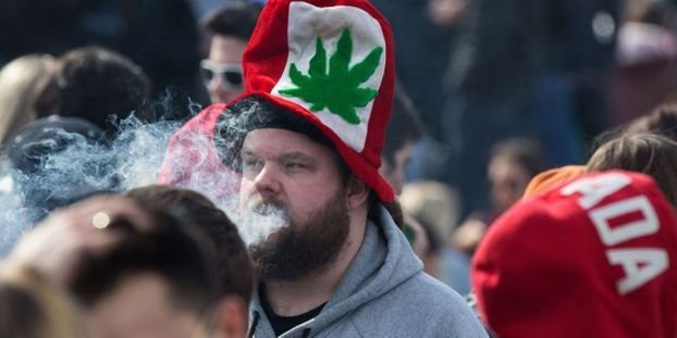 Une mission parlementaire va se pencher sur la légalisation du cannabis récréatif