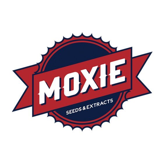 Moxie Seeds & Extracts