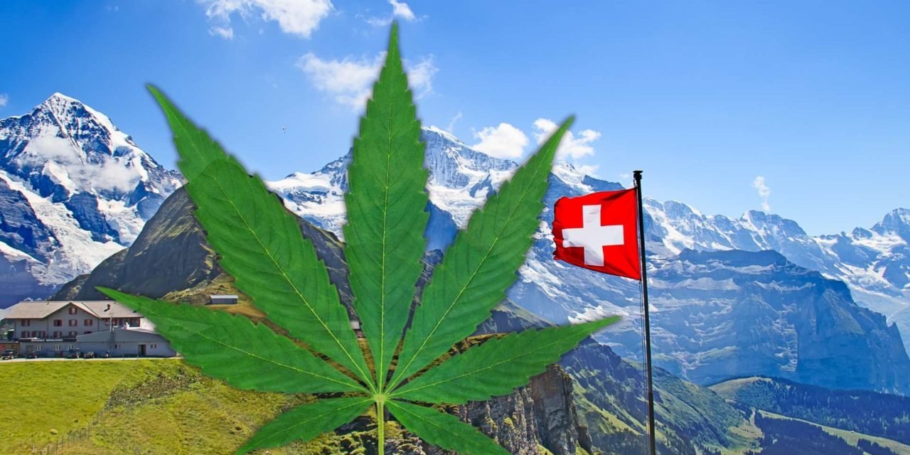 Suisse - Bâle se prépare avec d'autres villes suisses à la vente régulée de cannabis
