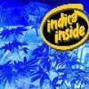 indica#smell&effect